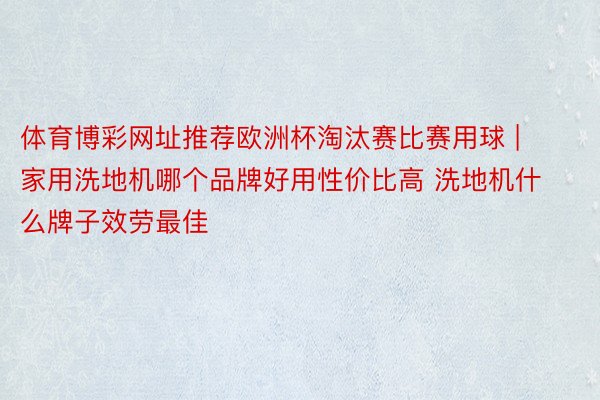 体育博彩网址推荐欧洲杯淘汰赛比赛用球 | 家用洗地机哪个品牌好用性价比高 洗地机什么牌子效劳最佳